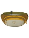 Osprey + Daylite Waist Meadow Gray/Histosol