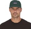 Patagonia + P-6 Label Trad Cap Northern Green