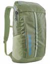 Patagonia + Black Hole Pack 25L Friend Green