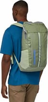 Patagonia + Black Hole Pack 25L Friend Green - 4