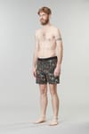 Picture Organic Clothing + Piau 15 Boardshorts Cathay - 4