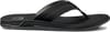 Reef + Reef Element Tqt Black