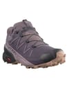 Salomon + Speedcross 5 Gtx W Mysterioso/Quail/Sirocco