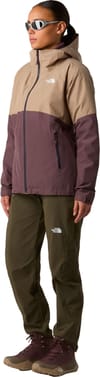 The North Face + W Exploration Pants New Taupe Green - 4