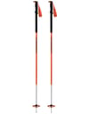 Tour Pole Dawn + Dynafit