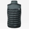The North Face + W Aconcagua Vest Balsam Green/Tnf White Logo