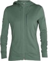 W Quantum III LS Zip Hood Sage + Icebreaker