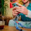 YY Vertical + Vertical Leash Blue - 4