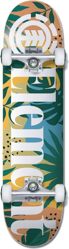 8" Monstera Assorted + Element
