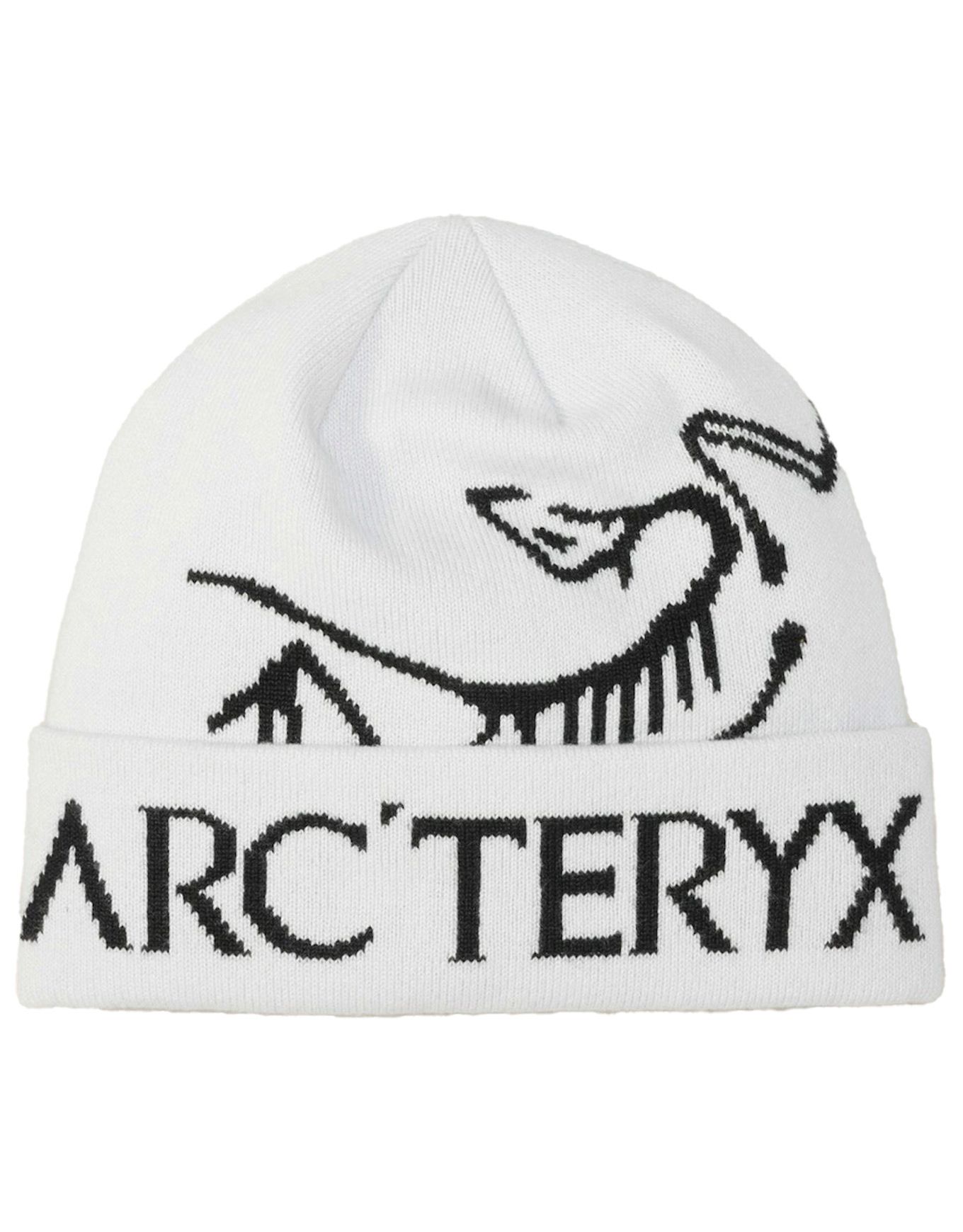 Bird Word Toque Orca + Arc'Teryx