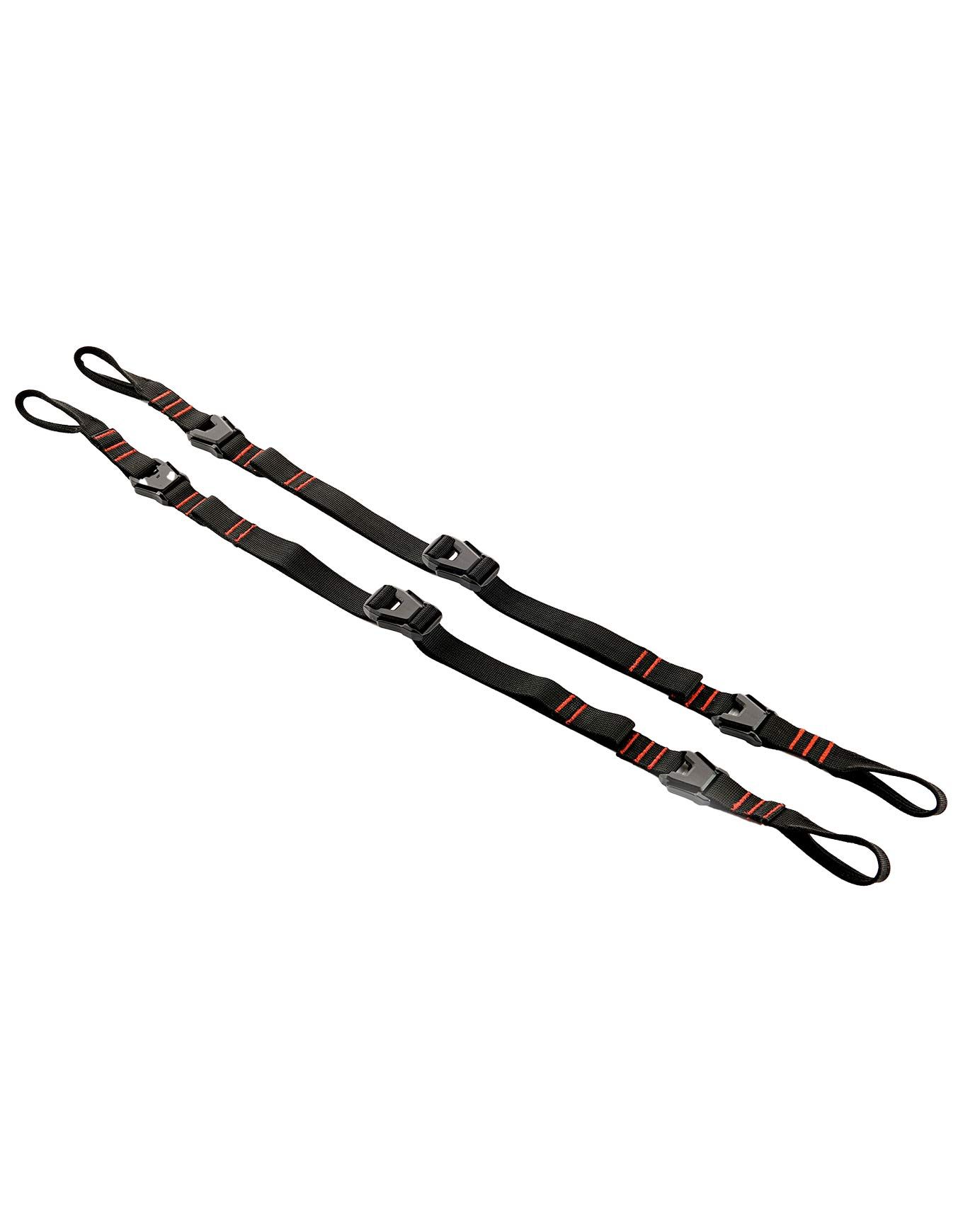Snowboard Holder + Arva