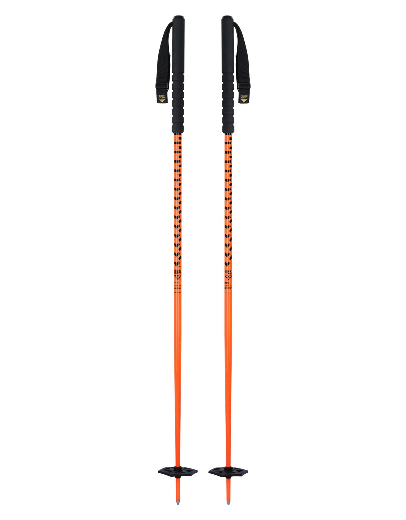 Oxus Orange + Blackcrows