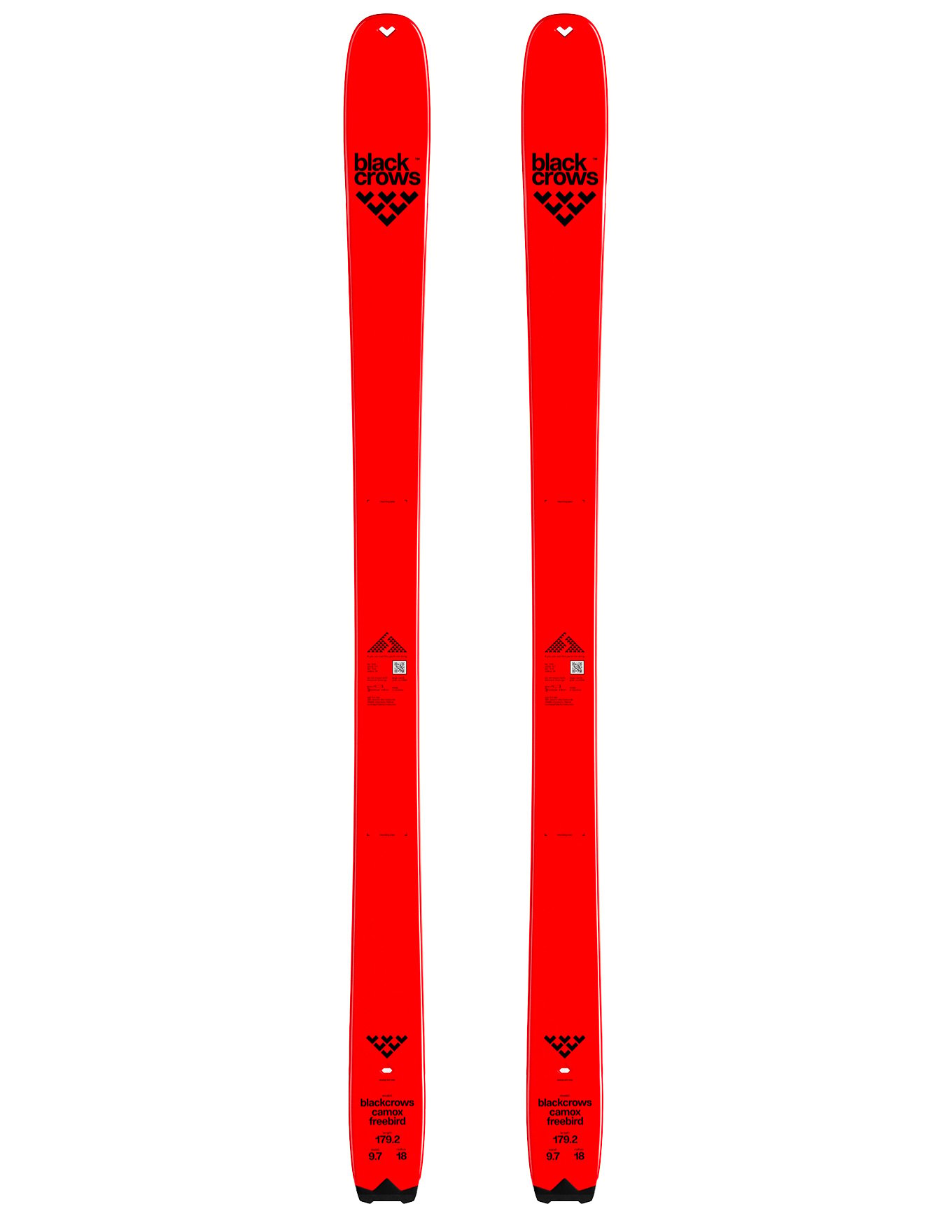 Camox Freebird 2027 + Blackcrows