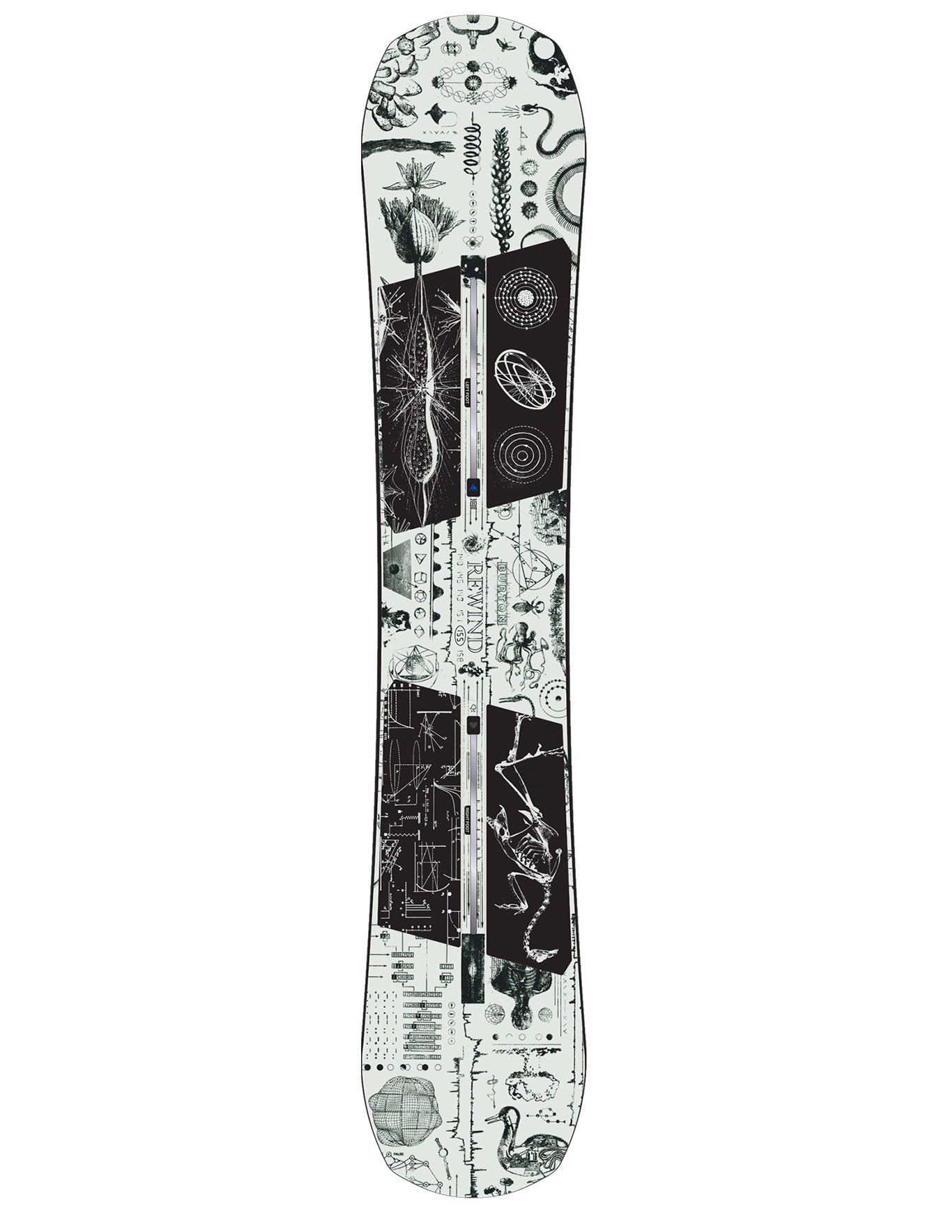 Rewind Camber 2027 + Burton