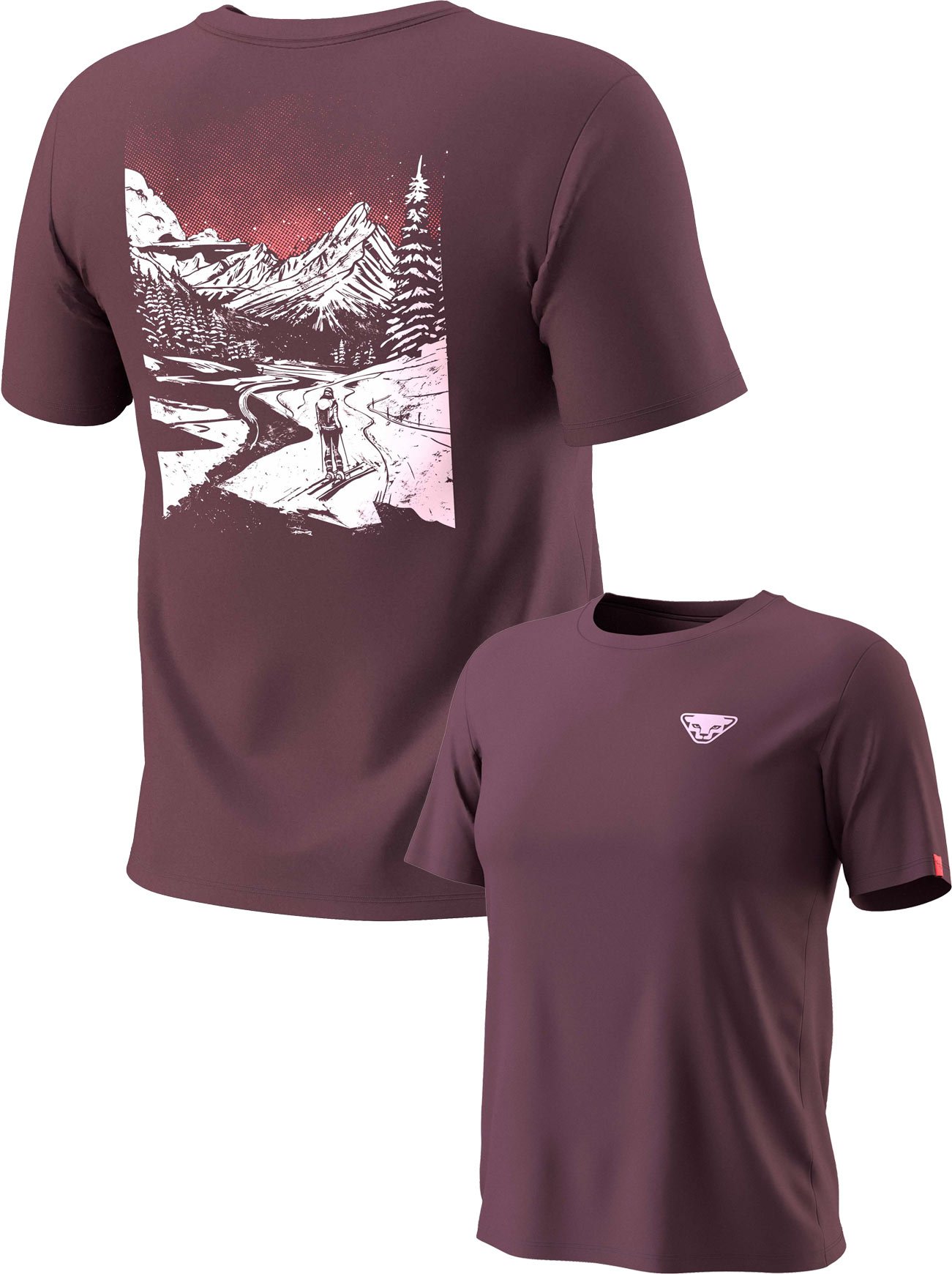 Back Graphic Co T-Shirt W Ephemera Valley + Dynafit