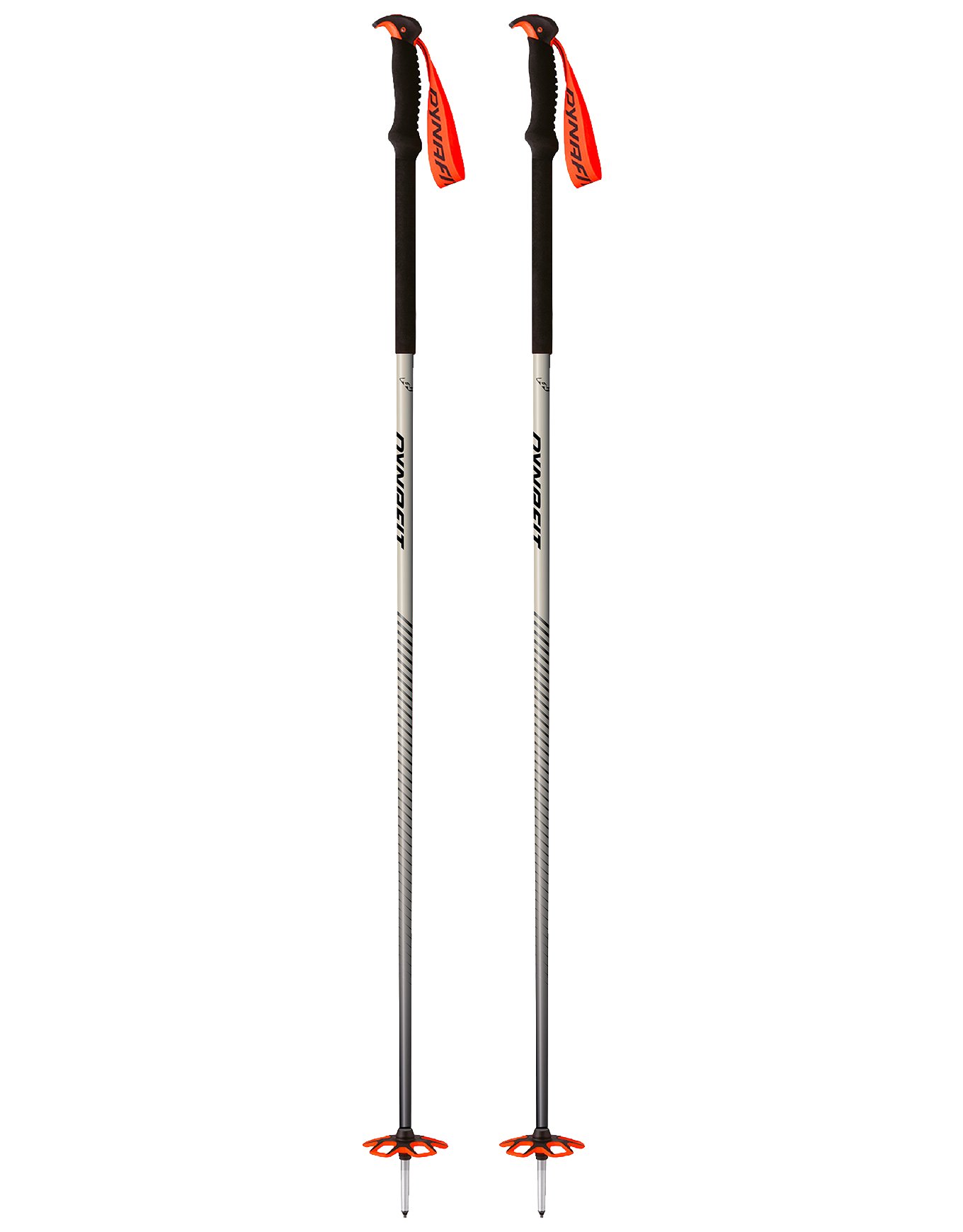 Tour Pole Overcast + Dynafit
