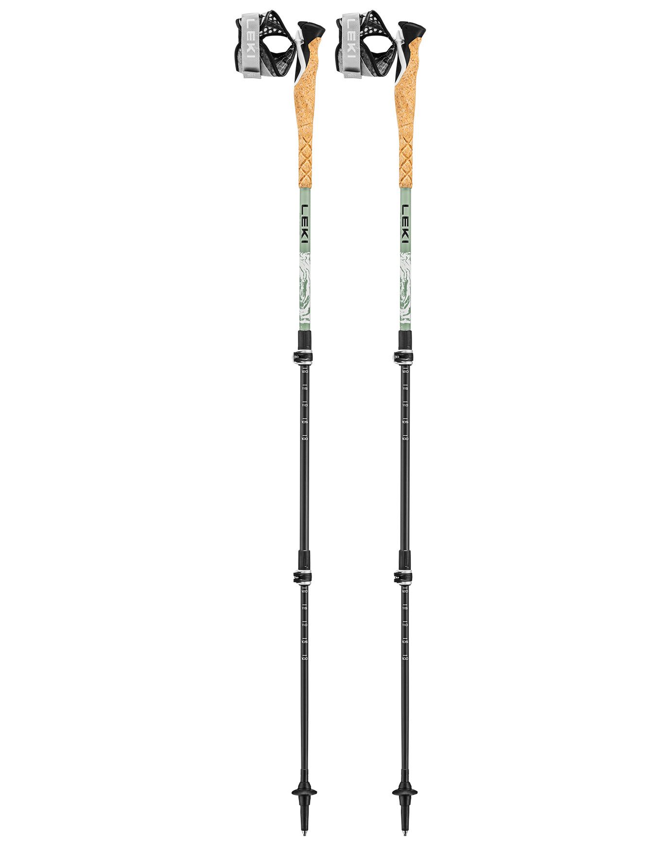Cross Trail Carbon + Leki
