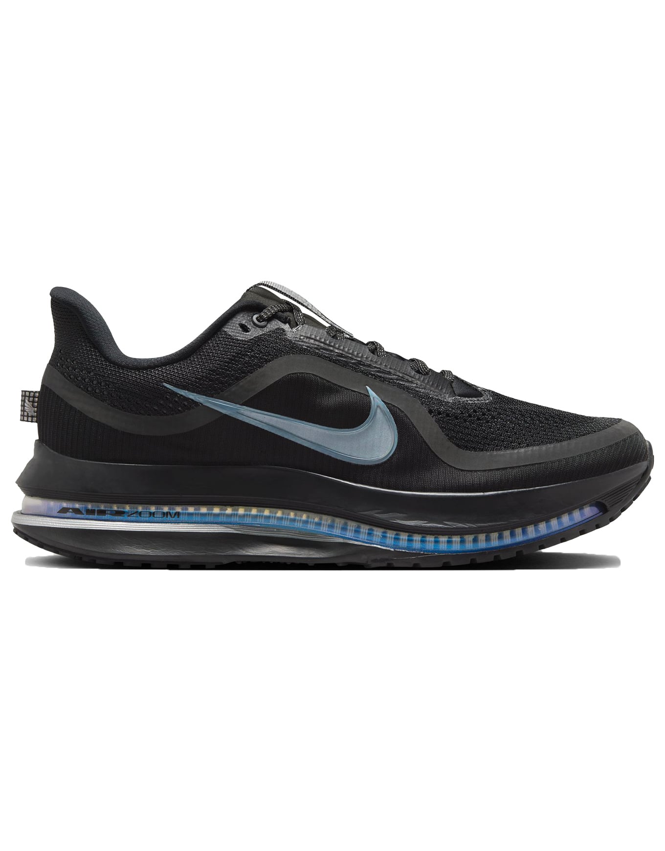 Nike Pegasus Premium Black/Black + Nike SB