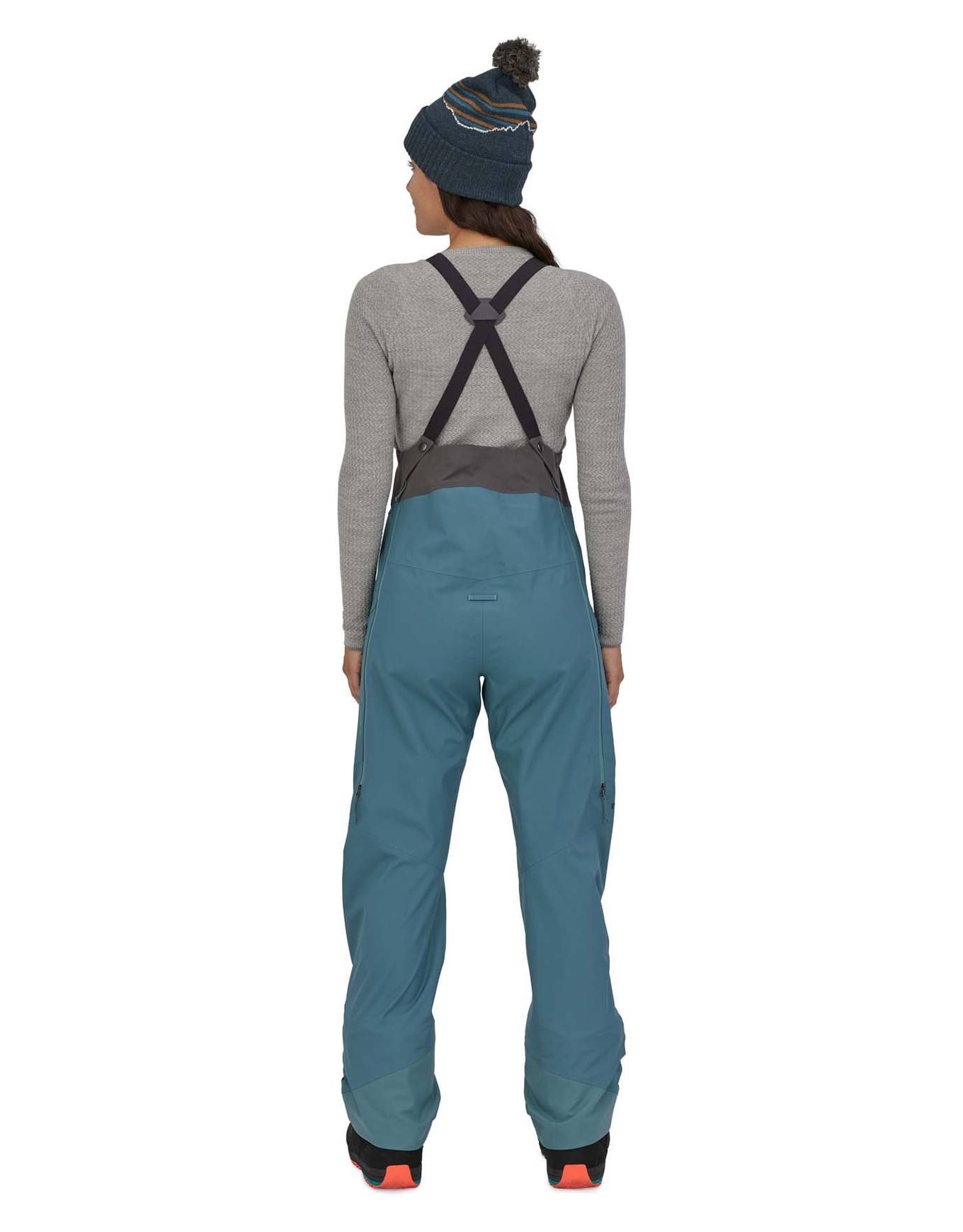 新品タグ付き THE NORTH FACE FREEDOM BIB スノーボード（The North 