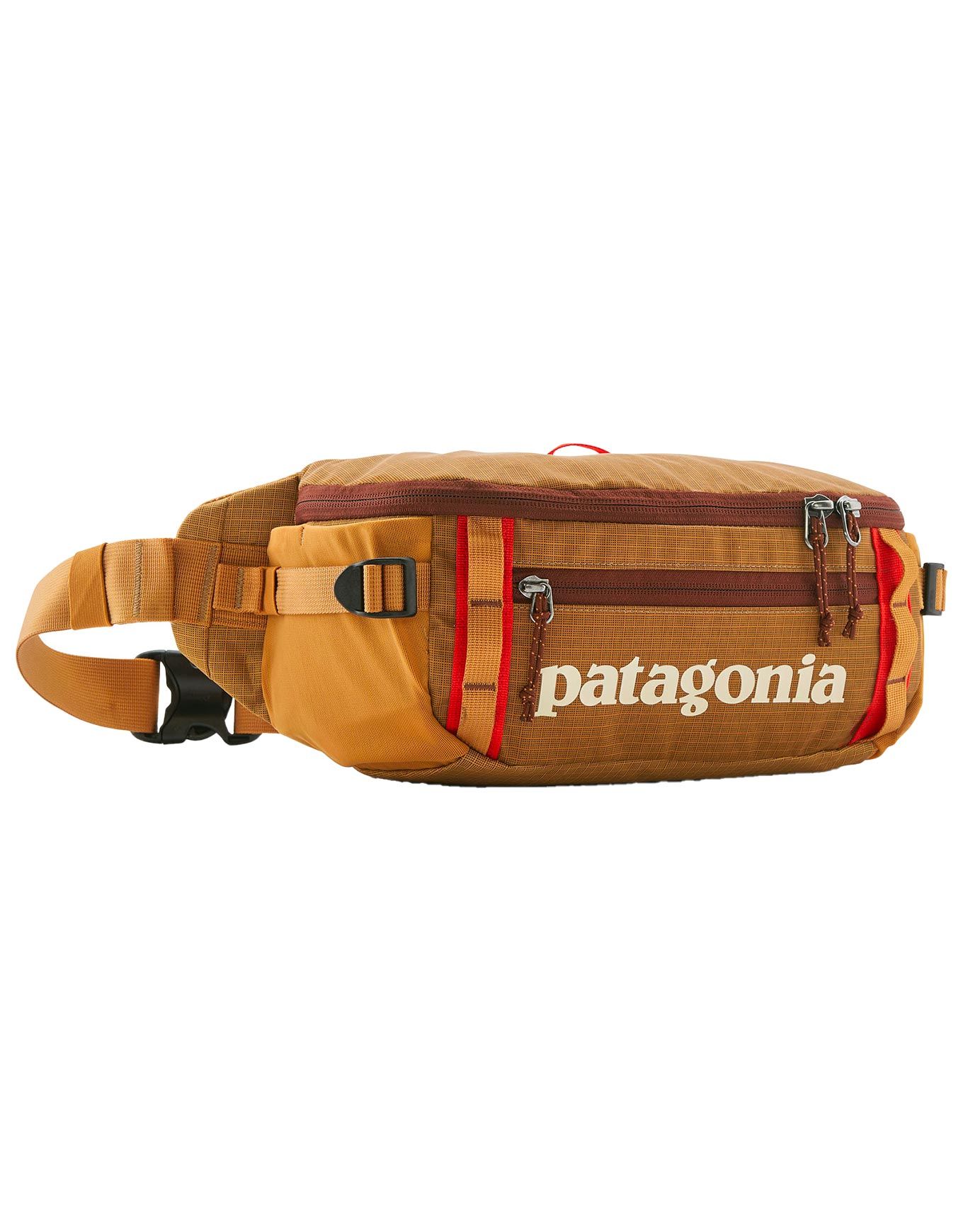 Patagonia Black Hole Waist Pack 5L Talon Gold Bum Bags : Snowleader