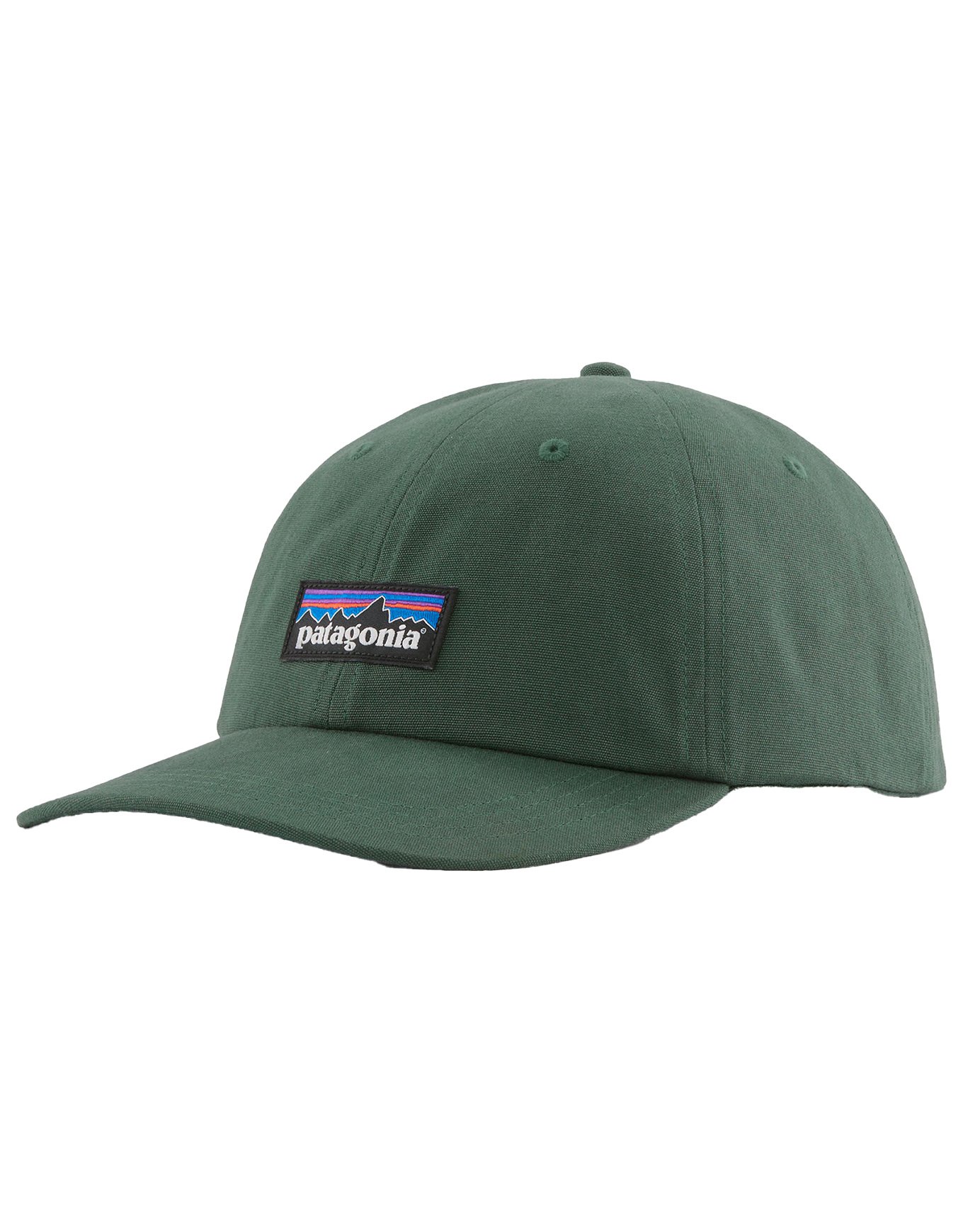 P-6 Label Trad Cap Canopy Green + Patagonia