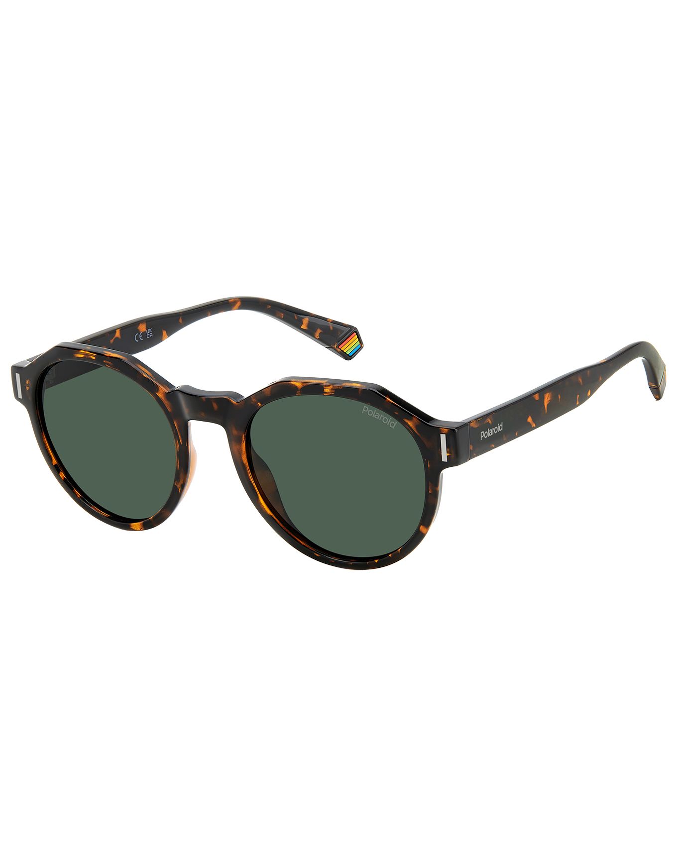 PLD 6207/S Havana + Polaroid