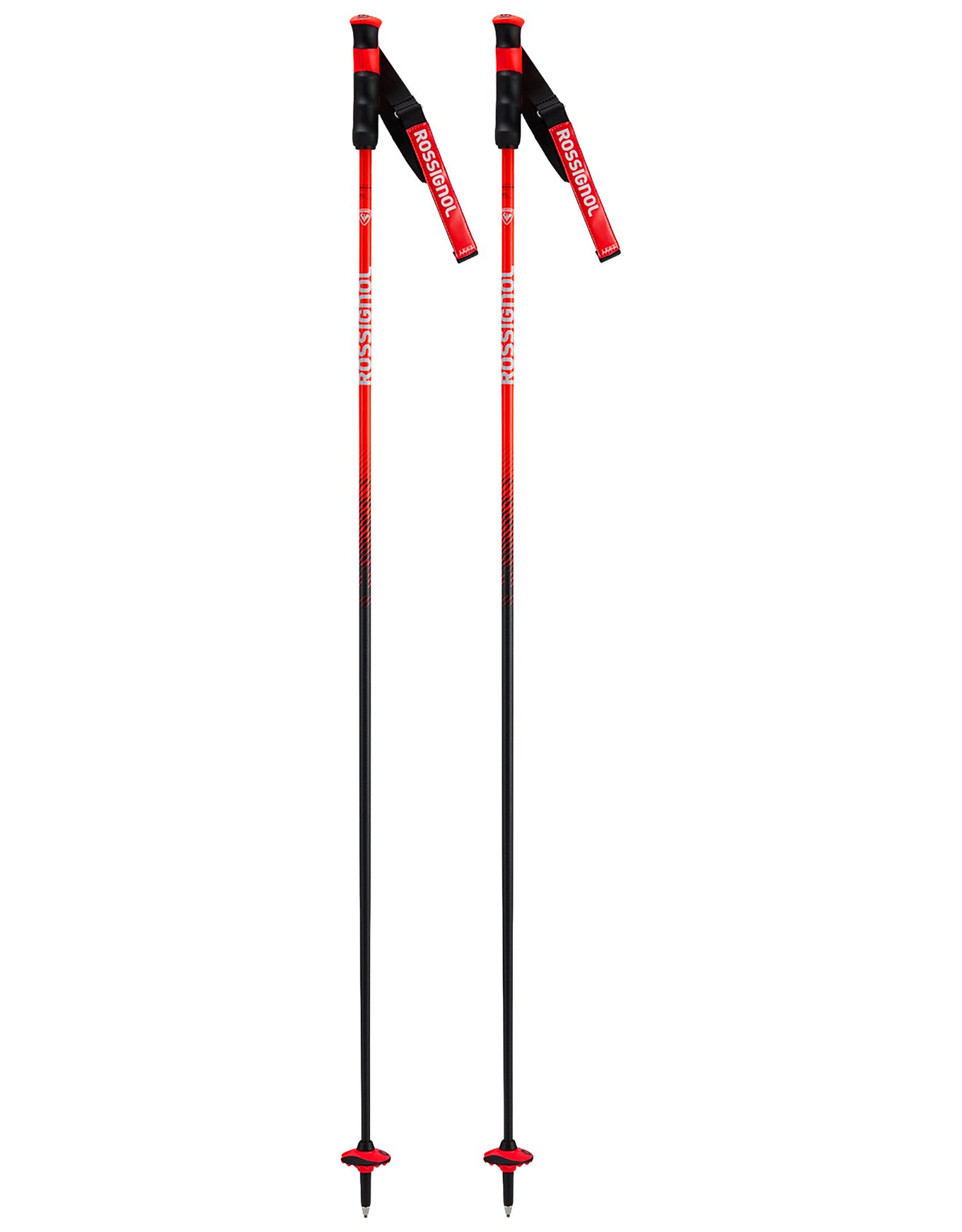 Hero Carbon + Rossignol