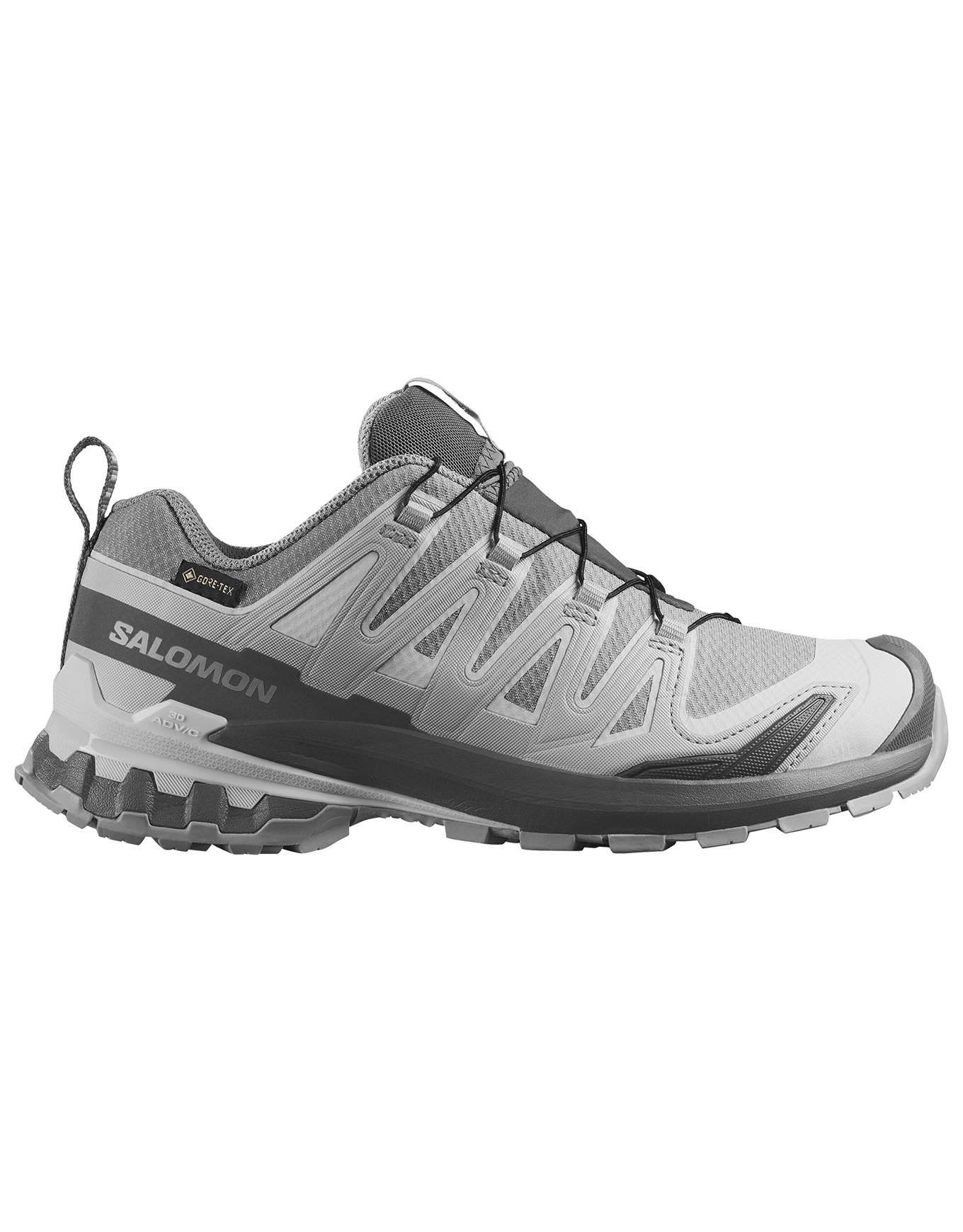 XA Pro 3D V9 GTX W Alloy/Castlerock + Salomon