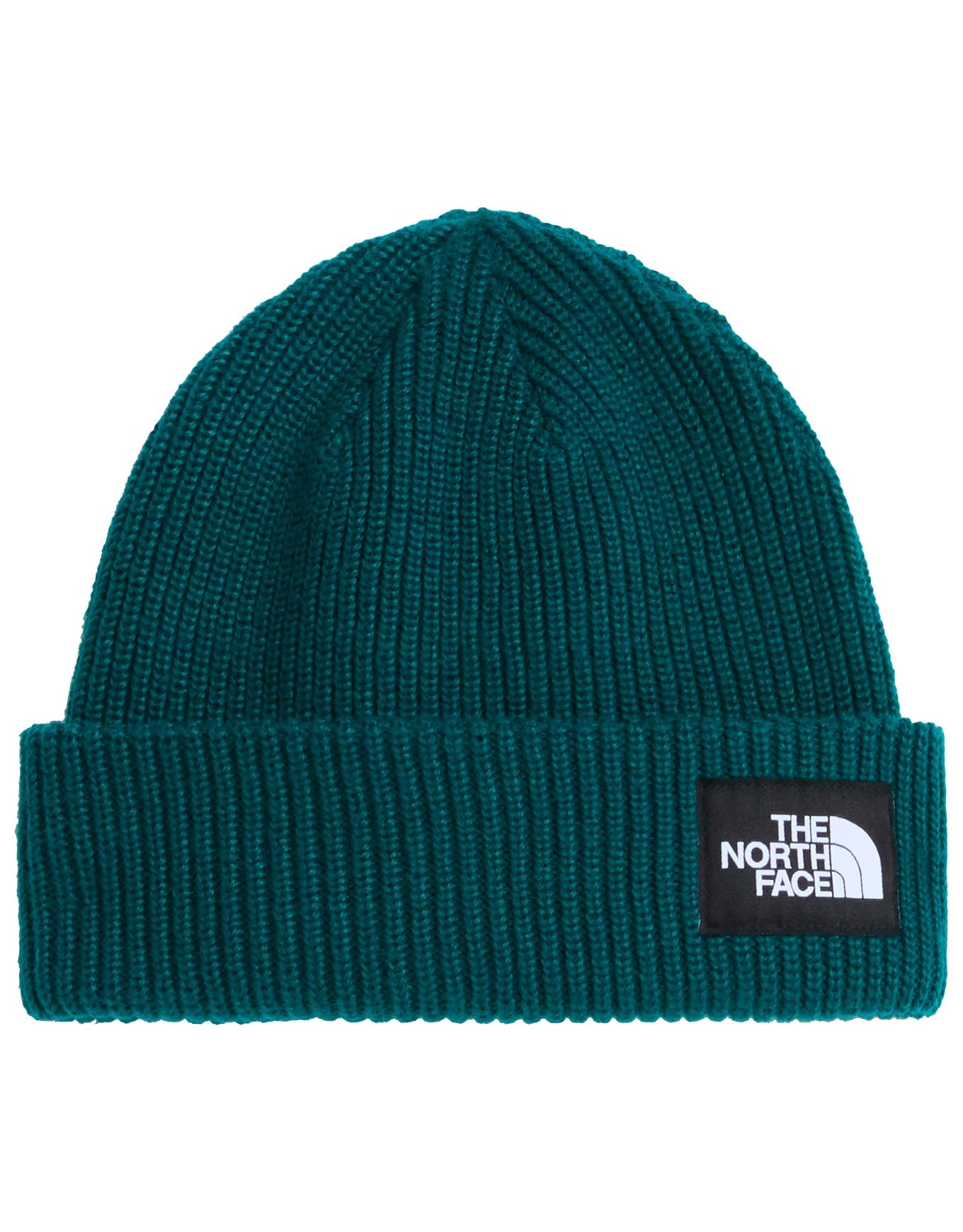 Salty Lined Beanie Pacific Teal + The North Face
