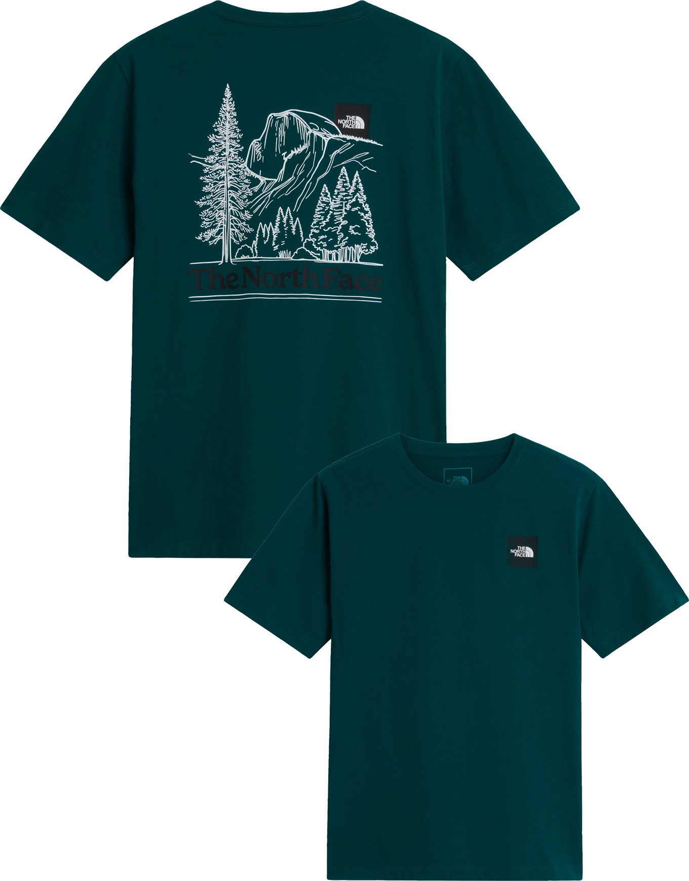 M Monte Reg SS Tee Graphic Pacific Teal + The North Face