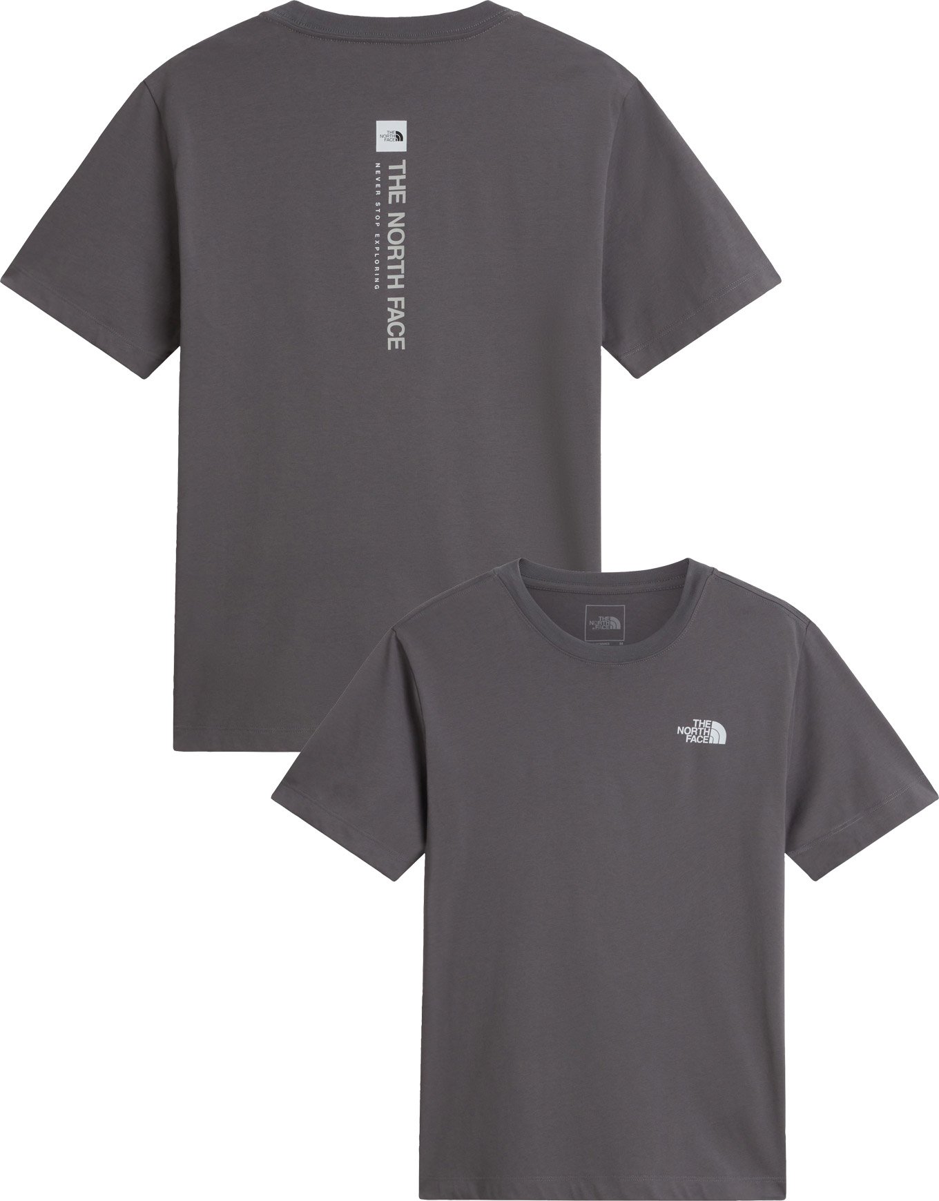 M Vertical Reg SS Tee Graphic Smoked Pearl + The North Face