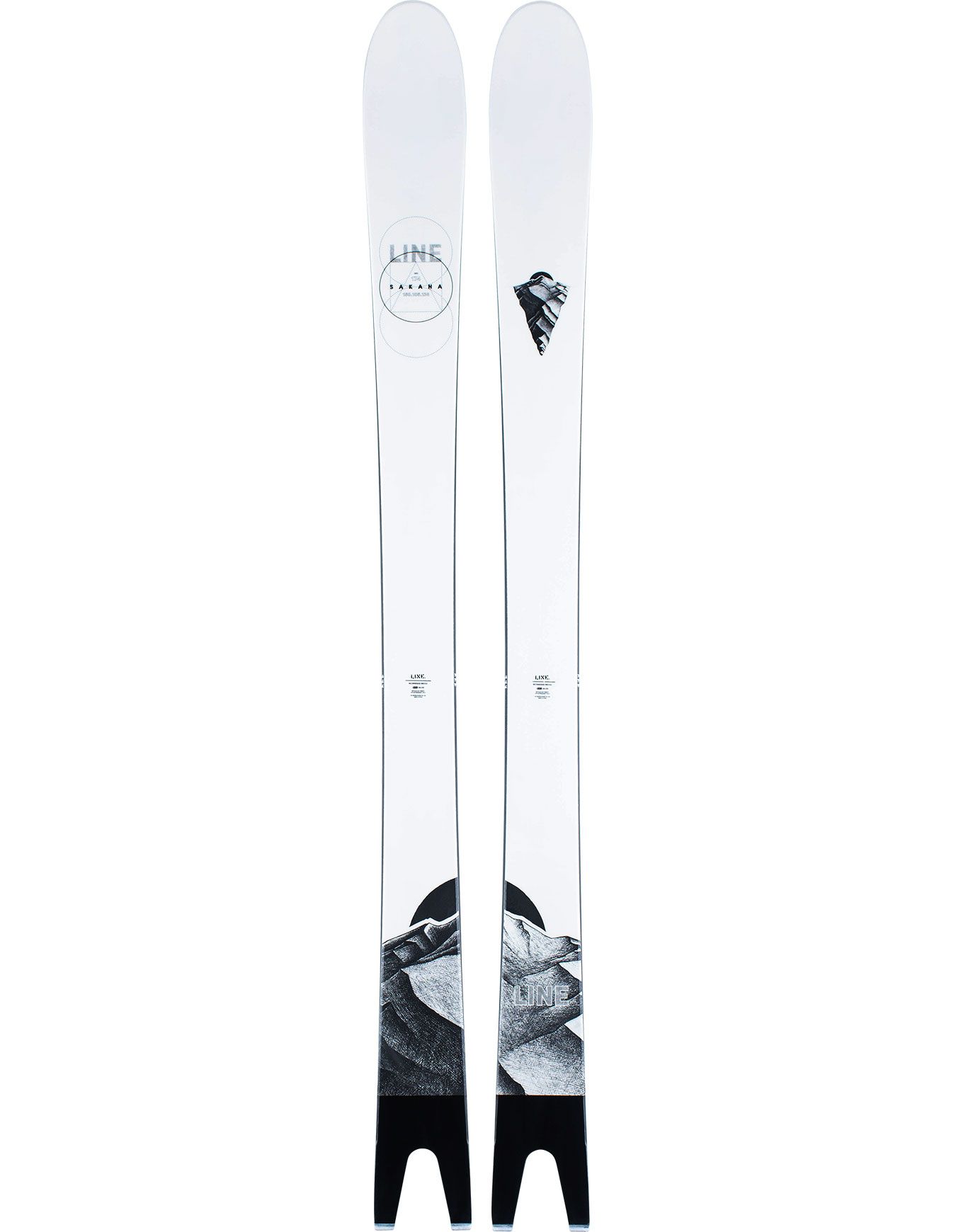 Line Sakana 2021 Men's skis : Snowleader