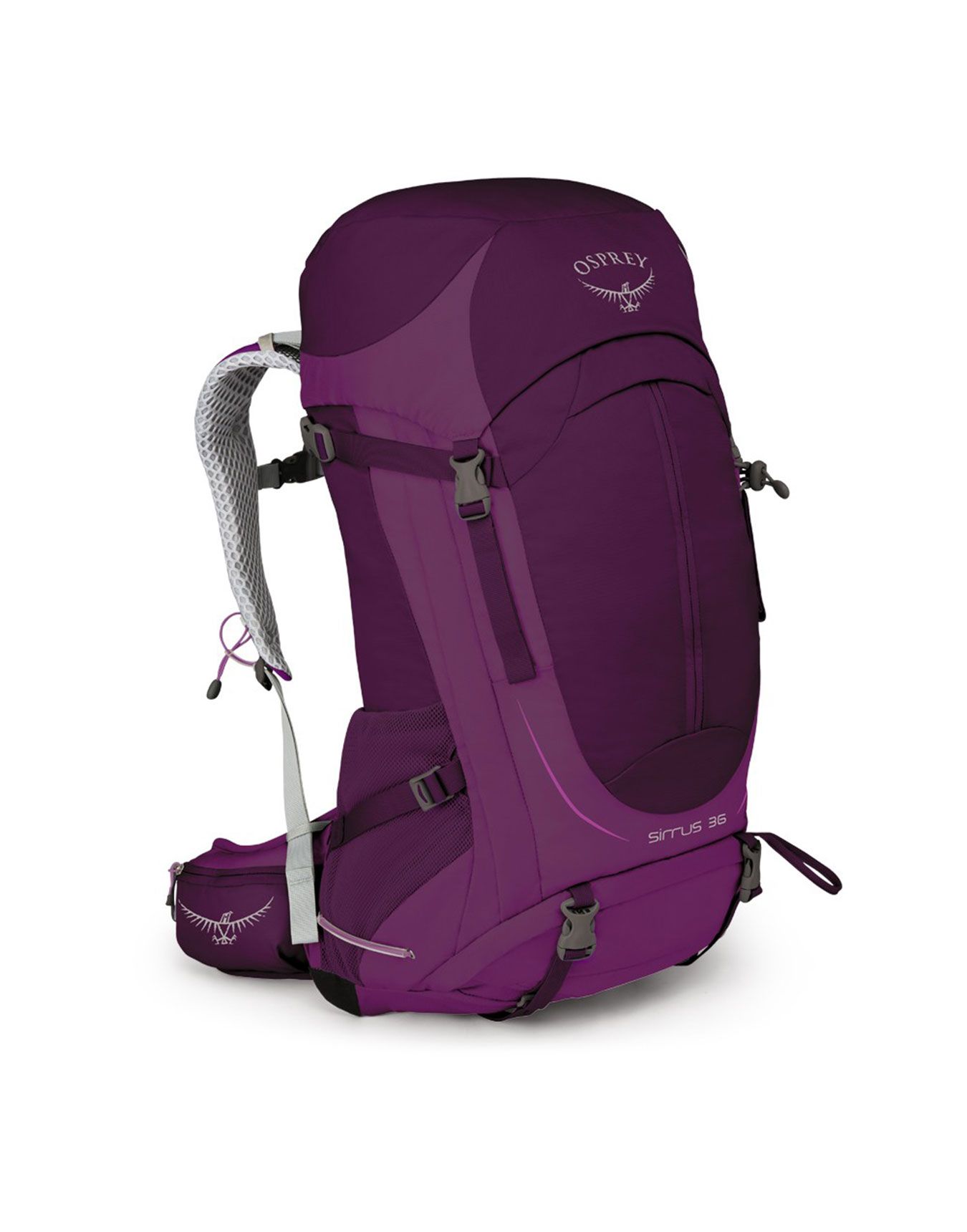 Sirrus 36 Ruska Purple + Osprey