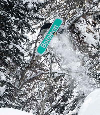 Snowboards
