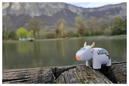 Cadeau Snowleader : Peluche Zoé anti-stress