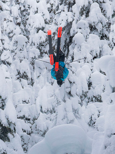 Ski Blizzard Canvas