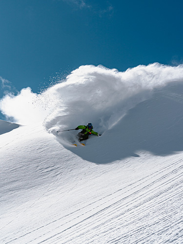 Skis Dancer Faction