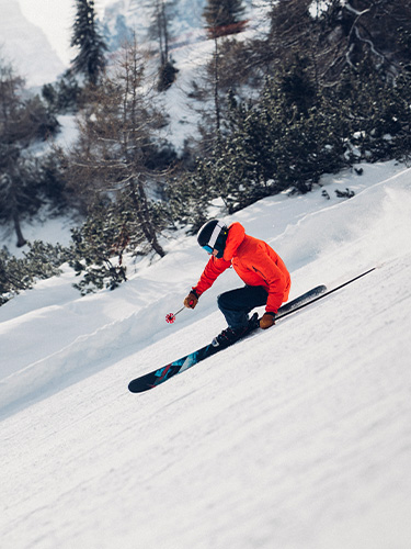 Nordica Enforcer
