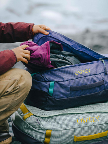 Sacs Transporter Osprey
