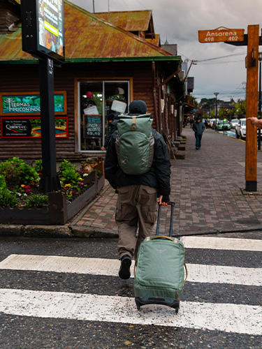 Sacs Transporter Osprey