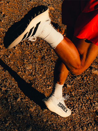 Chaussures de trail adidas Terrex
