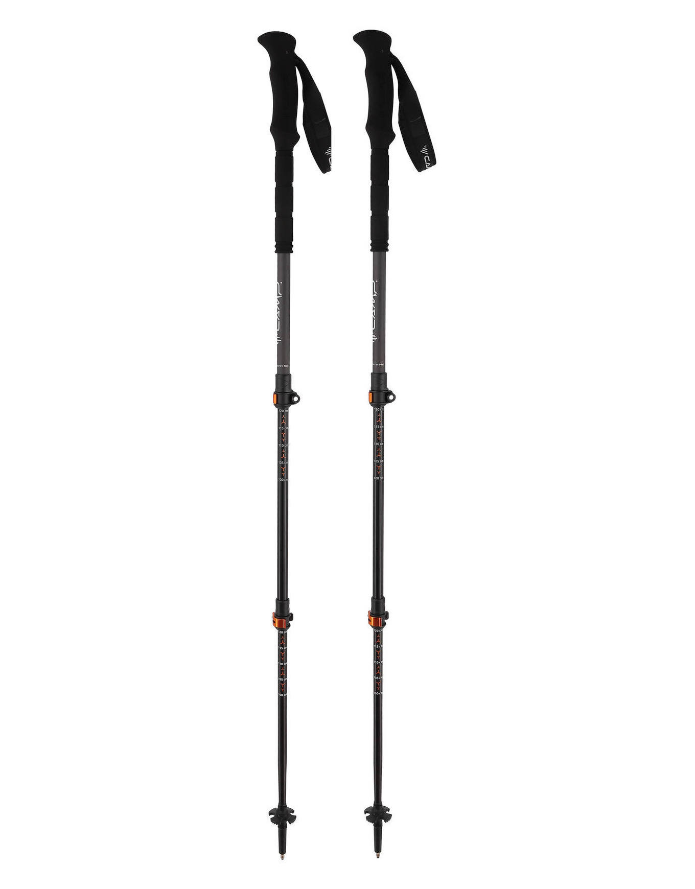 Bâtons de randonnée - Backcountry Pro 2.0 en Aluminium - Gris