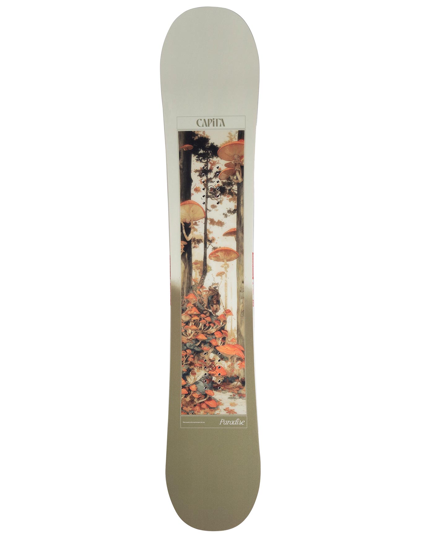 Snowboard all-mountain - Paradise 2026 - Taille 152W cm - Beige