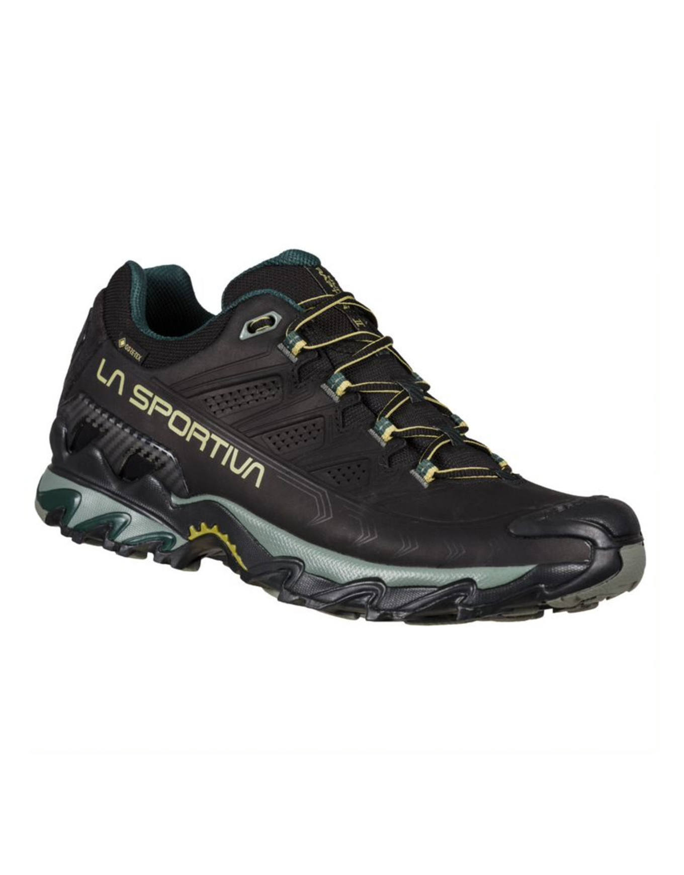 Chaussures de randonnée en GORE-TEX® - Ultra Raptor II Leather GTX Black/Cedar en Cuir - Taille 41,5 - Noir