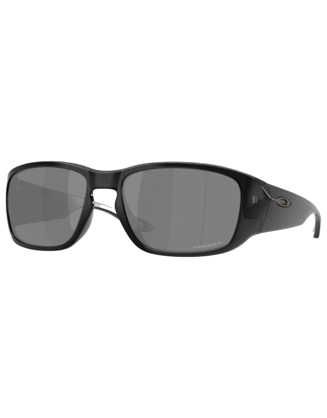 Polarisierte Sonnenbrillen Tourniquet Black Ink Pol Prizm Black Polar schwarz