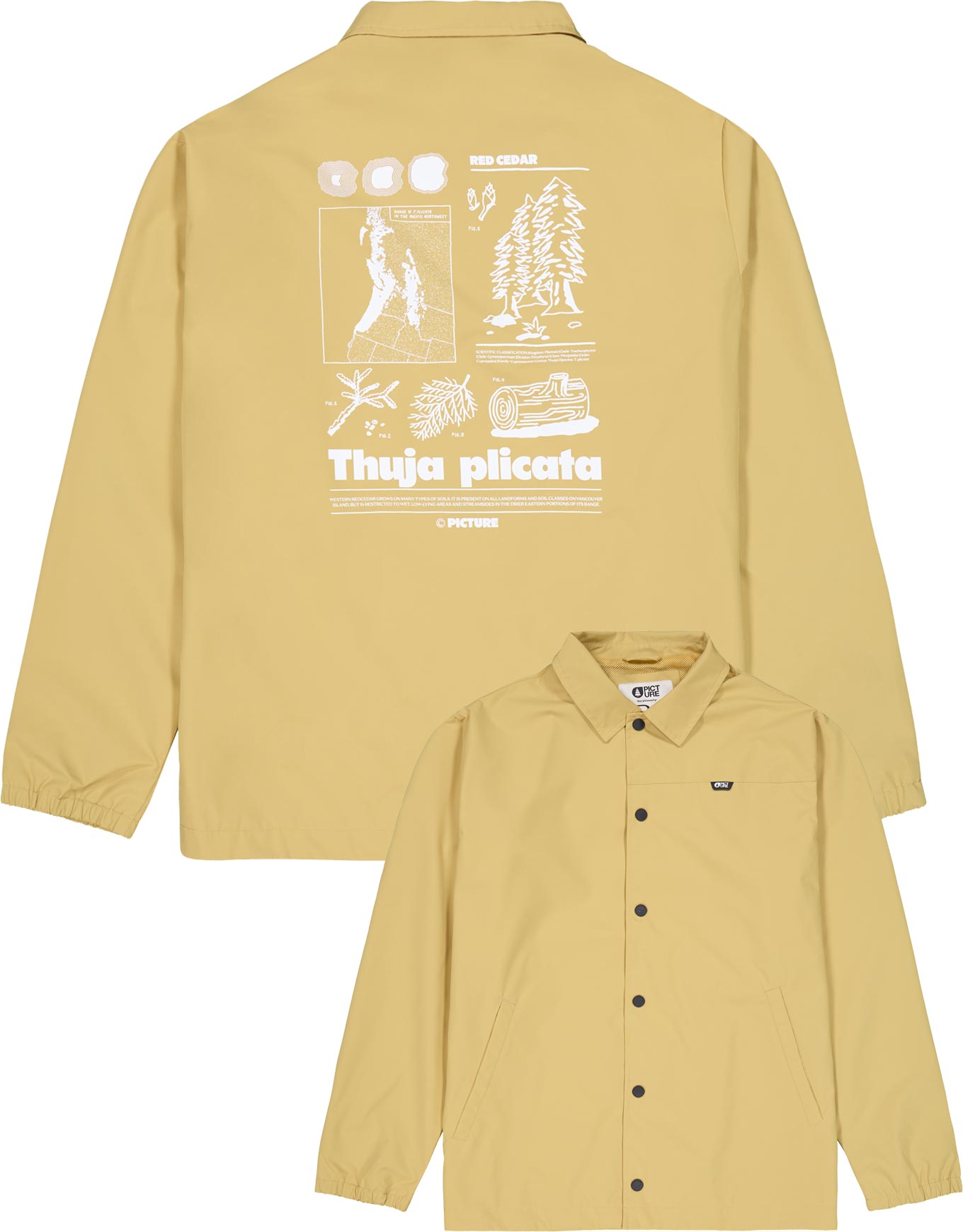 Blouson déperlant - Koachy Jacket Lark pour Homme - Taille S - Beige