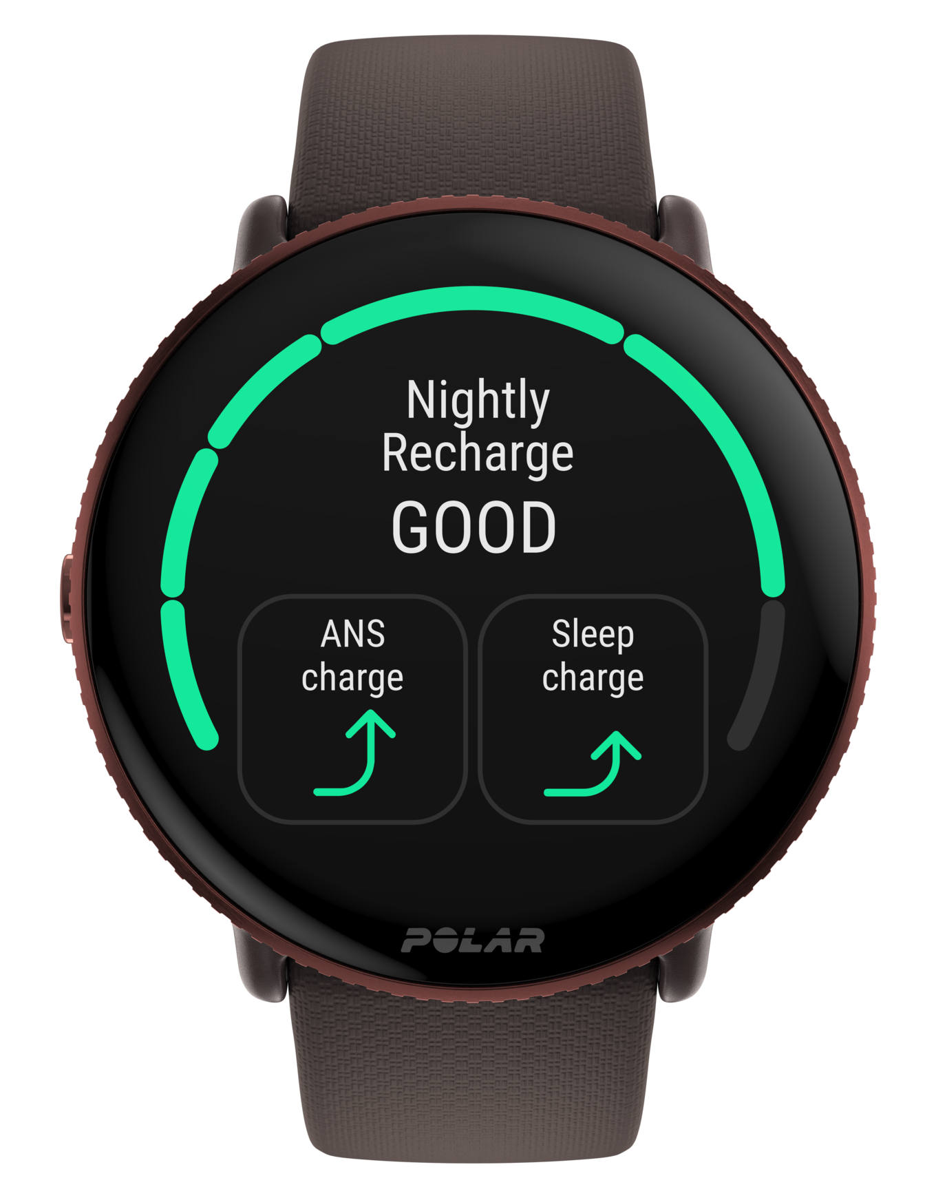 Montre de fitness et de bien-être GPS - Ignite 3 Brown/ Copper - Marron