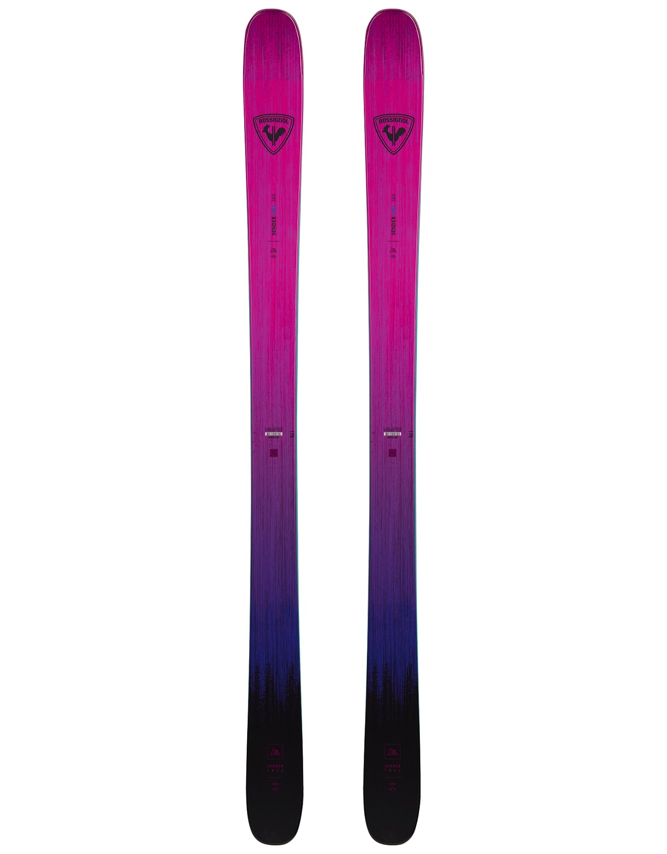 Skis freeride - Sender Free 100 2026 en Bois - Taille 170 cm