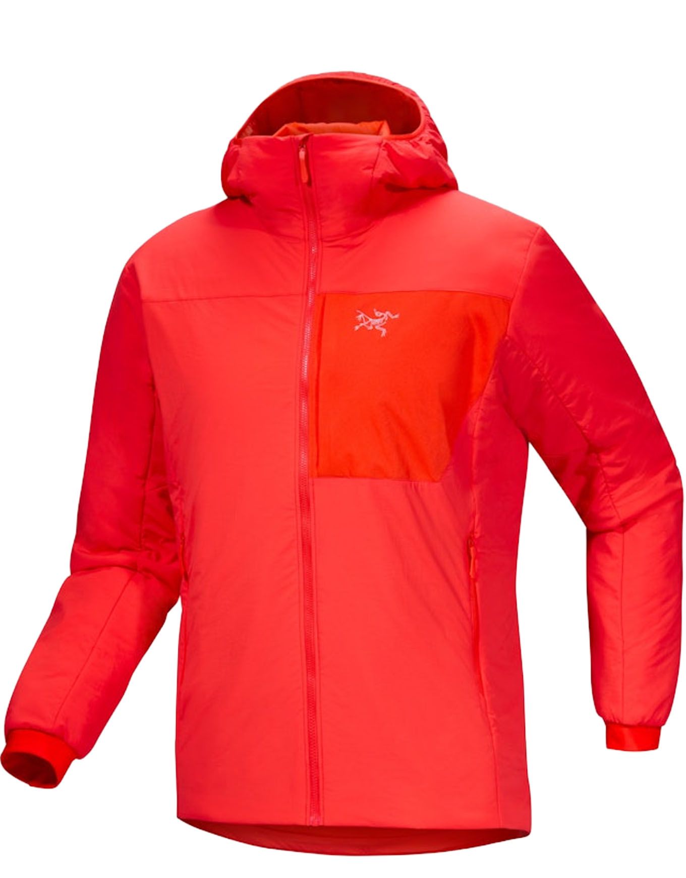 Arc'teryx Proton Hoody M Dynasty Ski down jackets : Snowleader