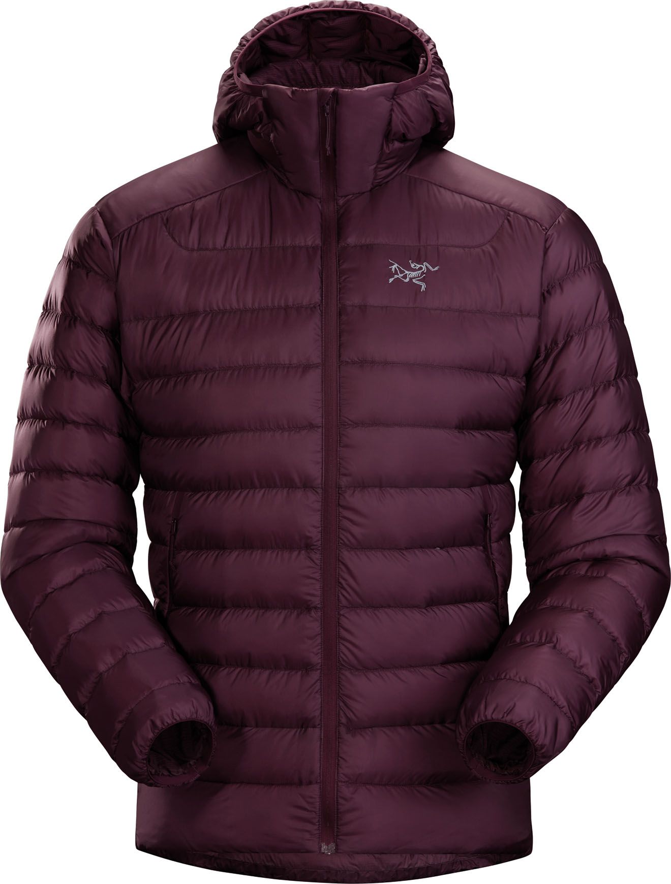 Arc'Teryx Cerium LT Hoody Men's Rhapsody Daunenjacken : Snowleader
